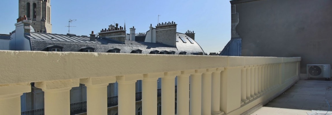 Pierre 1er de SerbieMarceau – Dernier étage rénové avec terrasse – 75116 Paris (30)